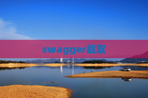 swagger截取